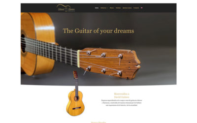 Web David Guitars